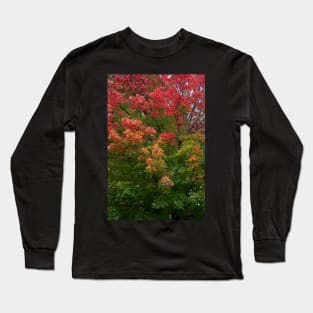 Autumn fall changing leaves red green thanksgiving Long Sleeve T-Shirt